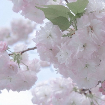 兽设火山场景创作Furry群